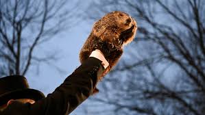 Groundhog Day: What to know about festivities, tradition