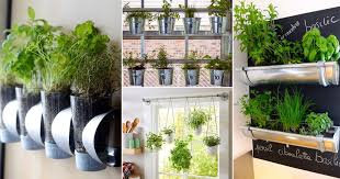 Kids' indoor herb garden kit. 25 Diy Hanging Herb Garden Ideas For Small Spaces Balcony Garden Web