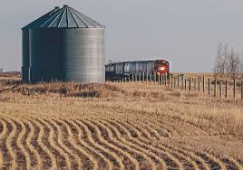 17.03.2022 · union issues strike notice to cp rail as groups ask ottawa for help. Fears Of Rail Strike Make Bad Grain Year Worse The Western Producer