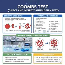 Image result for Direct Coombs