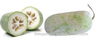 Beberapa penelitian mengaitkan masalah penglihatan dengan kekurangan riboflavin atau lebih dikenal sebagai vitamin b2. Kandungan Gizi Buah Kundur Dan Manfaat Buah Kundur Bagi Kesehatan