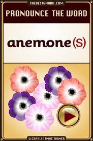 Anemone How To Pronounce The English Words Anemone Anemones The Video Also Illustrates And Spells The Word English Words How To Pronounce Words