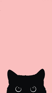 Wallpaper Mobile Wallpaper Wallpaper Iphone Solid Color Wallpaper Colorful Wallpaper La Wallpaper Iphone Cute Cute Cat Wallpaper Aesthetic Iphone Wallpaper