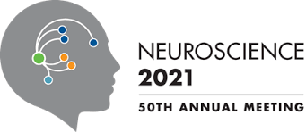 Society For Neuroscience Meetings