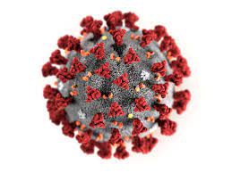 During a press conference, provincial health officer dr. Covid 19 Update For Sept 14 Here S The Latest On Coronavirus In B C Vancouver Sun