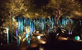 Gorgeous Gardens Every Traveler Must See Desert Botanical Garden Botanical Gardens Desert Botanical Garden Phoenix