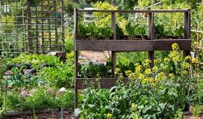 Check spelling or type a new query. The Best Ways To Build A Vertical Vegetable Garden Gardening Tips And Tricks