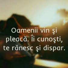 Oamenii Vin Si Pleaca Romaneste Words More Than Words Quotes