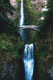 Discover this awesome collection of waterfall iphone 11 wallpapers. Nature Water Bridge Trees Waterfall Hd Wallpapers Desktop And Mobile Images Photos