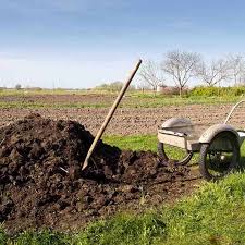 We did not find results for: How To Use Bone Meal Fertilizer In Your Garden Trees Com
