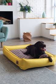 pin on dogs