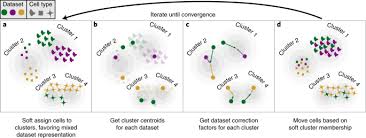 Maybe you would like to learn more about one of these? Fast Sensitive And Accurate Integration Of Single Cell Data With Harmony Nature Methods