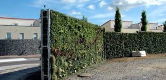 Grune Larmschutzwand Helix Compacta Larmschutzwand Garten Larmschutz Garten Trennwand Garten