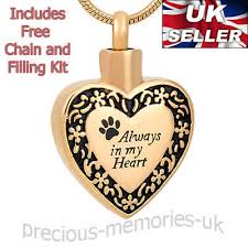 I answer the questions i had when i started to plan my dad's cremation. Gold Dog Or Cat Cremation Ashes Necklace Keepsake Jewellery Pet Urn Pendant Ebay