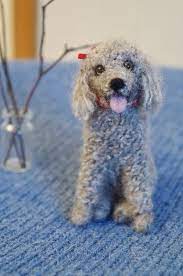 Needle Felted Teddy Bear Poodle Puppy Dog Brown Labradoodle Etsy Teddy Bear Poodle Poodle Puppy Miniature Dogs