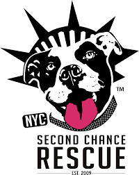 Check out the latest animal rescue adventures in new york>. Rescue Partners Human S Best Friend