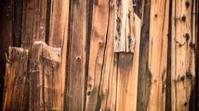 Can Wood Go in General Waste? | Waste Managed
