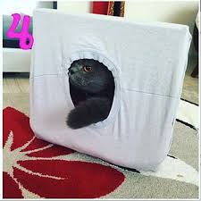 Kartondan Kedi Evi Yapimi Kolaycayap Com Kolayca Yapilabilecek Hersey