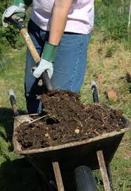 I parked by the gate, near lawn and garden, as i have a very hard time walking. 8 Things Not To Do In The Vegetable Garden Veggie Gardener Forum