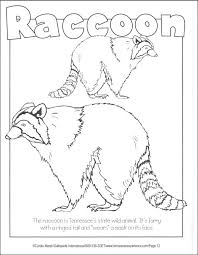 Color the center circle blue. Tennessee Coloring Book Gallopade International 9780793398706