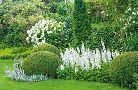 We did not find results for: White Flowers A Cool Look For Hot Summer Gardens Stuff Co Nz