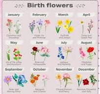 Birth Month Flowers: Discover What Yours Means - Calendarr