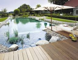 Schwimmteich Bauen Vorteile Vom Naturpool Im Garten In 2020 Natural Swimming Ponds Natural Swimming Pools Natural Pool
