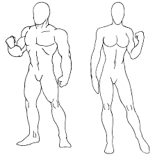 The Appealing Download Blank Body Drawing Human Of Drawing Images In Blank Body Map Template Photograph Below Is Segme Drawing Images Body Drawing Drawings