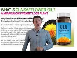 weight loss with cla safflower oil