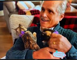 Cody is in 2018 Hallmark Movie Miracle of Christmas 🎄