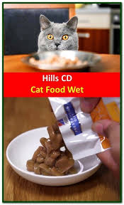 Hill S Nutritionists Veterinarians Developed Prescription Diet C D Multicare Clinical Nutrition Specially Formulated To Suppor Cat Nutrition Nutrition Food