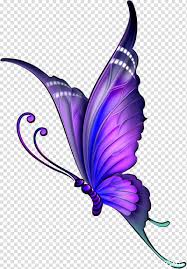 Butterfly Drawing Color , flying transparent background PNG clipart |  HiClipart