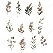 Hal ini disebabkan tanaman hias terpapar cahaya matahari terlalu lama, dalam hal ini ketika ditempatkan di. Gambar Elemen Daun Kering Cat Air Clipart Daun Elemen Cat Air Png Dan Vektor Dengan Latar Belakang Transparan Untuk Unduh Gratis