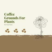 Check spelling or type a new query. How To Use Coffee Grounds For Plants The Complete Guide The Finest Roast
