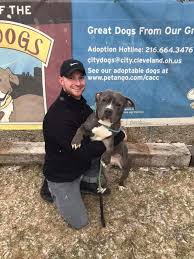 Hi.bullseye is a house broke 6 month old 18 lb male in 44646 massillon, ohio. What A Great Start To Our Be Mine City Dogs Cleveland Facebook
