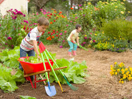Welcome to another house building video! Family Gardens And Kids Gardening Ideas Hgtv