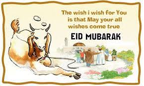 We did not find results for: Happy Eid Ul Adha 2021 Wishes Sms Quotes Text Message