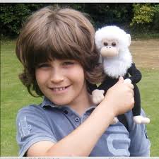 Dave the Cheeky Monkey