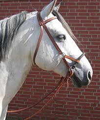 Scegli la consegna gratis per riparmiare di più. Reit Und Fahrsporthandel Busse Sidepull Leder Rundgeflochtener Nasenriemen Vollblut