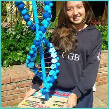 amazing dna models year 12 biology hl happy ape dna project dna model project dna model