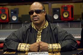 Image result for stevie wonder