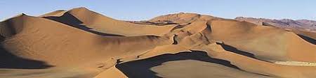 The namib desert has some of the highest dunes on the planet at over 300 meters and is thought to be the world's oldest desert at around 80 million years old. Namib Desert Southwestern Africa Wwf