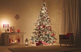 Maybe you would like to learn more about one of these? Beautiful Photos Of Christmas Trees That Will Put You In The Holiday Spirit Slideshow The Active Times