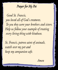 In the harry potter series, the hospital for magical maladies and injuries is under the patronage of saint mungo, who, despite. Blue Ribbons Pet Care Products Prayer For Sick Dog Sick Pets Pet Healing