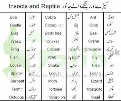 Animals Birds And Insects Names In Urdu English Tables Insects Names Fruits Name In English Fruit Names
