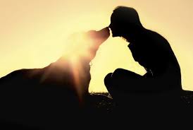 Resultado de imagen para amor de perro