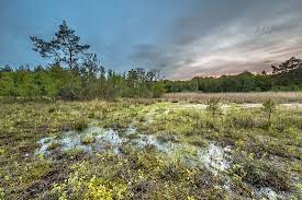 18,915 likes · 145 talking about this. What Is A Fen Worldatlas