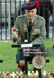 95 Bill Parr Stock Photos, High-Res Pictures, and Images