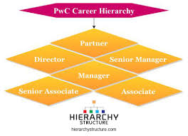 Pricewaterhousecoopers Pwc Career Hierarchy Chart