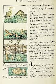 1 Ethnobotanic Plants 2 Ethnobotanic Plants 3 Butterflies 4 Locusts 5 Birds And Fish 6 Birds And Fis Aztec Civilization Ancient Aztecs Aztec Architecture